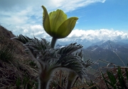 MONTE FIORARO o azzarini (2431 m.) - FOTOGALLERY